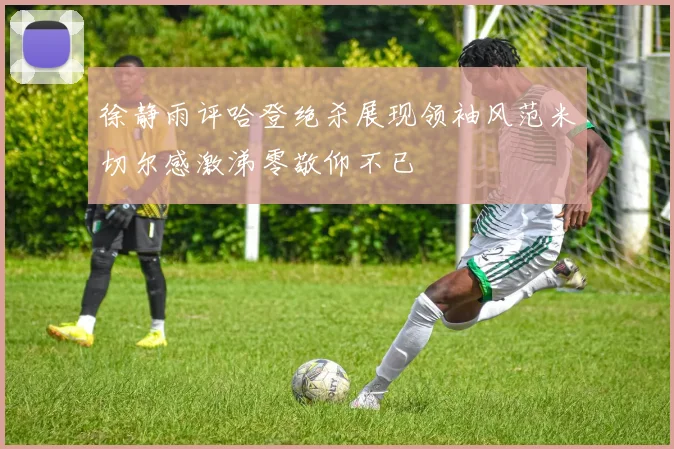 徐静雨评哈登绝杀展现领袖风范米切尔感激涕零敬仰不已