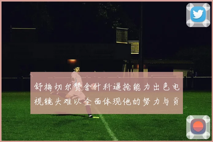 舒梅切尔赞舍什科逼抢能力出色电视镜头难以全面体现他的努力与贡献